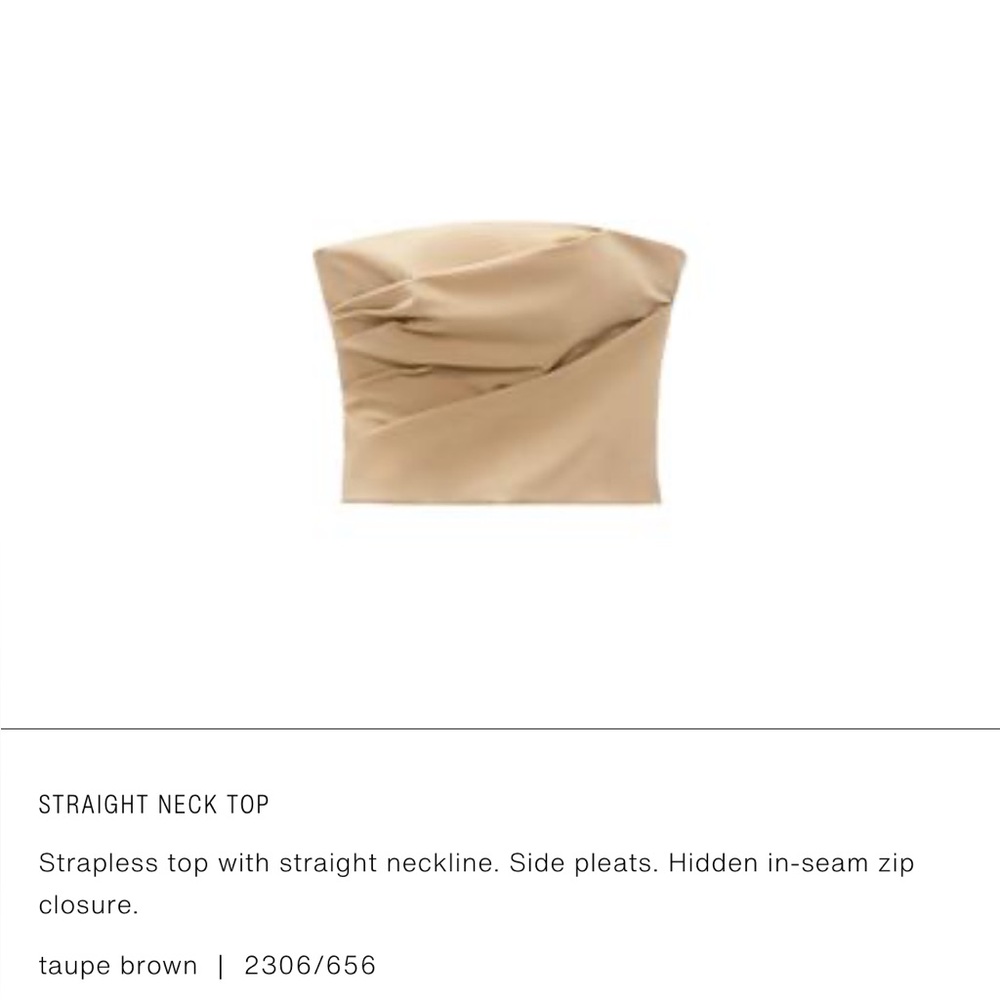 Zara Nude Strapless Corset Top